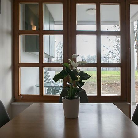 Apartma Spelca Banovci Eksteriør bilde
